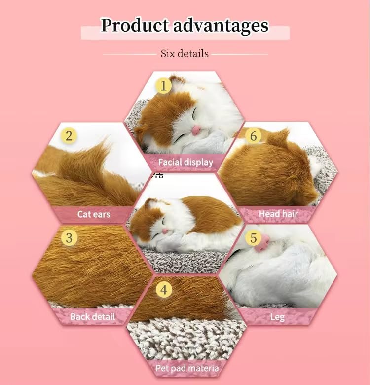 Hexagonal grid showing details of a product with images of a cat and text on a pink background.