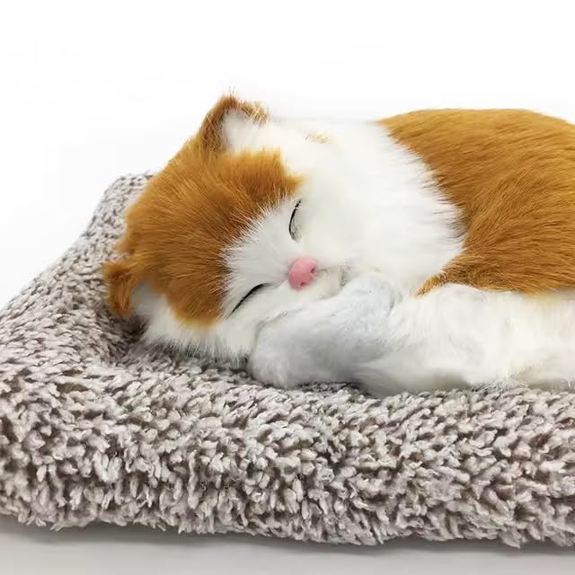 Cat sleeping on a fluffy gray cushion with a white background