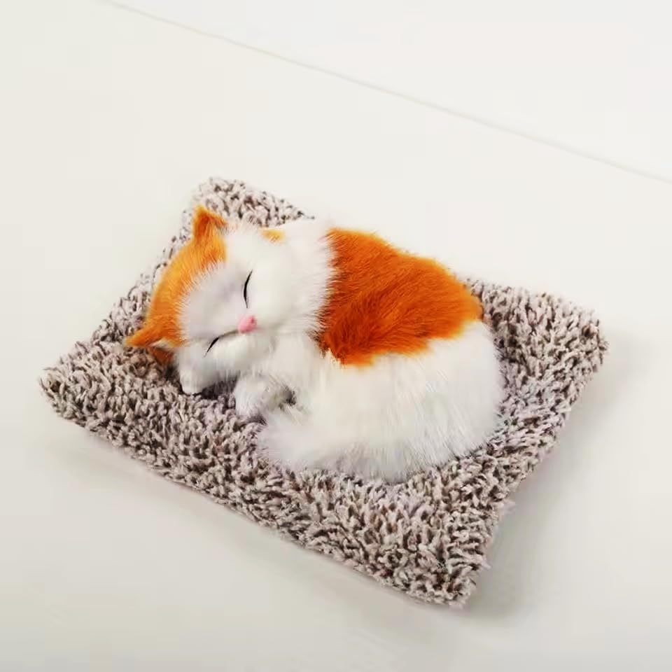 Cat sleeping on a textured blanket with a white background