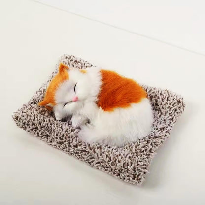 Cat sleeping on a textured blanket with a white background